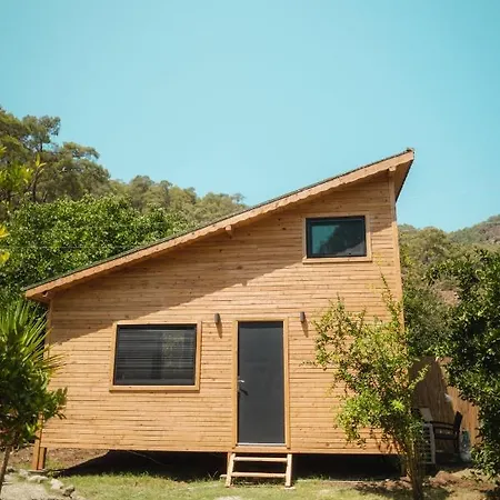Nomadas * Yaniklar (Mugla)